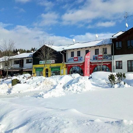 Apartman Leo Nr. 8 Липно над Вълтава Екстериор снимка